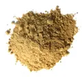 Lunderland Grünlippmuschelextrakt Grünlippmuschel Pulver 100g