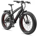 Telefunken E-Bike FM350 26 Zoll Fatbike mit 8 Gang Kettenschaltung - Hinterradmotor 250W /16Ah / 36V Lithium-Ionen-Akku