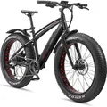 Telefunken E-Bike FM350 26 Zoll Fatbike mit 8 Gang Kettenschaltung - Hinterradmotor 250W /16Ah / 36V Lithium-Ionen-Akku - Schwarz