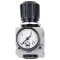 "Druckminderer DM 1/4 W - 700 l/min. - Anschlussgewinde Gewinde G 1/4\"i - Anschluss Manometer G 1/8\"i"