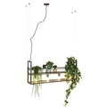 QAZQA - Industrie I Vintage I Industrie I Vintage I Hängelampe I Pendellampe I Pendelleuchte rostbraun mit Gestell 4-flammig - Cage Rack I Wohnzimmer I Schlafzimmer - Stahl Länglich - LED geeignet E27