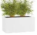 Pflanzwerk® Pflanzkübel TUB Premium Fiberglas Blumenkübel Frostbeständig mit Lotus-Effekt, Fiberglas - Handgefertigt - Rechteckig - Frostbeständig