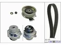 INA Wasserpumpe + Zahnriemensatz 530017131 für VW