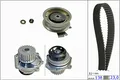 INA | Wasserpumpe + Zahnriemensatz mit Anbaumaterial (530 0171 31) für VW GOLF