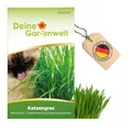Katzengras Samen - Avena sativa und Lolium perenne - Katzengrassamen - 10 g Saatgut für etwa 5 Töpfe