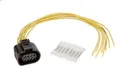 Kabelreparatursatz SENCOM 20262 für RENAULT VEL SATIS (BJ0_) 2 2002-2009