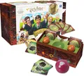 Harry Potter  Familien-Herausforderungskartenspiel Catch the Golden Torch