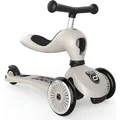 Scoot and Ride Highwaykick 1 ash