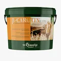 St. Hippolyt Beta-Carotin Knoblauch 3kg