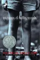 Patricia Reilly Giff Pictures of Hollis Woods (Taschenbuch)