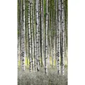 marburg Vliestapete "Smart Art Easy", Wald, weiß/grün - weiss