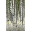 Marburg Vliestapete Floral Weiß-Grün 270 cm x 159 cm FSC