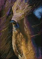 DIAMOND DOTZ - Diamond Painting Pferd braun