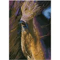 Diamond Dotz Diamond Painting Pferd braun (DD7.060)
