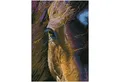 BrainBox Spiel DIAMOND DOTZ - Diamond Painting Pferd braun