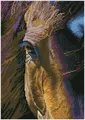 DIAMOND DOTZ - Diamond Painting Pferd braun | Kit (Bastelset) | 2025