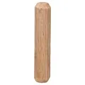 Bosch Accessories 2607000444  Holzdübel 30 mm 6 mm 50 St.