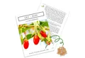HappySeed Blumensamen Goji Beeren Samen - Lycium chinense, Obst
