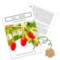 Goji Beeren Samen (Lycium chinense) - Vitaminreiche, rote Wolfsbeeren