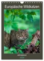 Europäische Wildkatzen - Jahresplaner (Wandkalender 2026 DIN A4 hoch),...