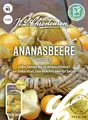 Ananasbeere Physalis, süßer Genuss der an Ananas erinnert, Samen 01460