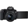 Canon EOS 250D (18 - 55 mm, 24.10 Mpx, APS-C / DX) (3454C003)