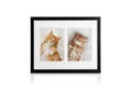 bomoe Bilderrahmen Bilderrahmen Galeria für 2 Fotos, 13x18cm, Schwarz, Kunststoffglas, Metall-Aufhängung & Passepartout Multirahmen Holz
