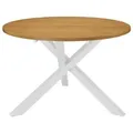vidaXL Esstisch Weiß 120x75 cm MDF