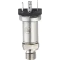ifm Electronic Drucksensor 1 St. PT5003 0 MPa bis 2.5 MPa Stecken Analog