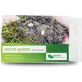 e-nema 10 Mio. Nematoden gegen Engerlinge nema-green