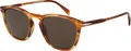 David Beckham Sonnenbrille DB 1160/S EX470 51
