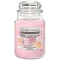 Sugared Blossom 538g
