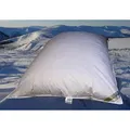 Betten Hofmann Winter Oberbett Daunen-Federbett Schüttelbett 155x220 cm 2600g Füllgewicht