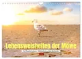 Www. Bihlmayer-Media. Com Www. Bihlmayer-Media. Com | Lebensweisheiten der...