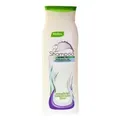 REGINA Shampoo, fettiges Haar 34 , 300 ml - Flasche