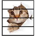 Wallario Möbelfolie Katze mit Blick nach vorn braun