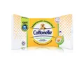 Cottonelle® feuchtes Toilettenpapier Cottonelle feuchtes Toilettenpapier Kamille & Aloe Vera 42 Tücher (1er