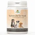 Afrikanische Teufelskralle Hund + Katze 300g I Teufelskrallen Pulver Naturrein Ohne Zusätze I Bewegungsfreude Auf Natürliche Weise Unterstützen