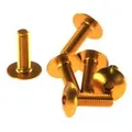 Verkleidungsschraubensatz M6X20 (6 Stk.) Goldfarben (Ta620Or) - Gold