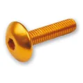VERKLEIDUNGSSCHRAUBENSATZ M6X20 (6 STK.) GOLDFARBEN (TA620OR)