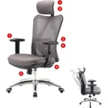 SIHOO Bürostuhl Schreibtischstuhl, ergonomisch, verstellbare Lordosenstütze, 150kg belastbar ohne Fußstütze, grau - Grau