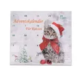 Pet-Star Tierball Adventskalender für Katzen