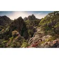 Komar Vliestapete Digitaldruck Vlies - Rainbow Lands - Größe 450 x 280 cm, glatt, bedruckt, (9 St), Wohnzimmer, Schlafzimmer bunt