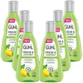 6x 250ml Guhl Frische & Leichtigkeit Anti Fett Shampoo  mit Zitronenmelisse