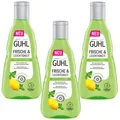 3x 250ml Guhl Frische & Leichtigkeit Anti Fett Shampoo  mit Zitronenmelisse
