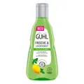 GUHL FRISCHE & LEICHTIGKEIT ANTI-FETT Shampoo 250 ml