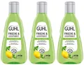 ✅ Guhl Frische & Leichtigkeit Anti Fett Shampoo mit Zitronenmelisse 3x 250ml ✅