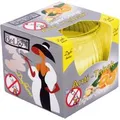 HS Candle Duftkerze Raumerfrischer Kerze Raumduft Ingwer Orange