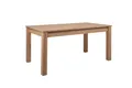 Esstisch BERGEN LBH 160x90x75 cm braun Esszimmertisch