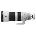 Sony SEL 200-600mm f/5.6-6.3 G OSS + Telekonverter  SEL-14TC 1.4x   Sony FE-Mount